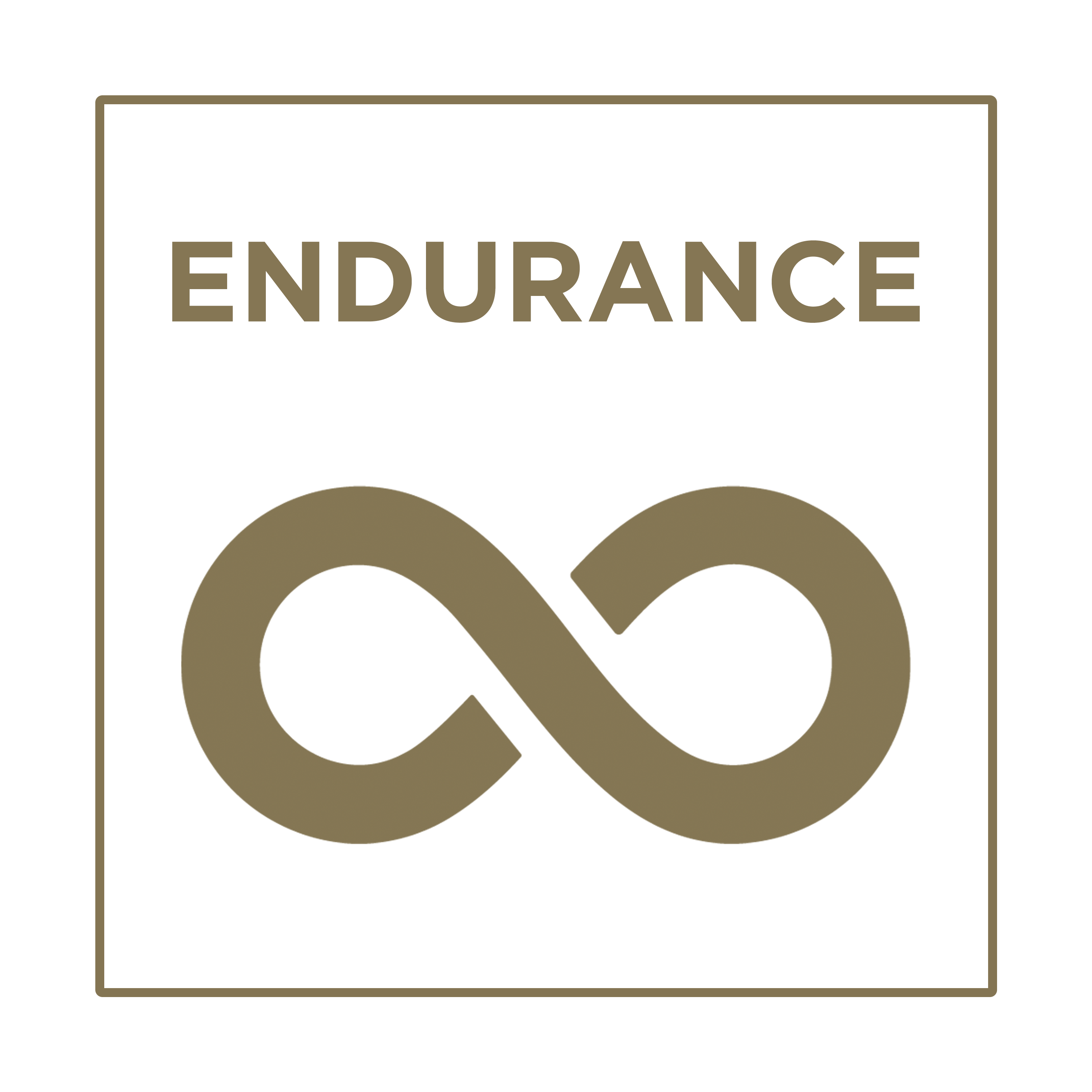 endurance.png